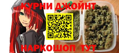 молекула духа Будённовск