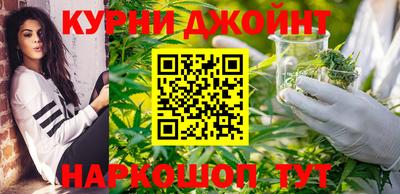 молекула духа Будённовск