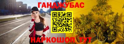 молекула духа Будённовск