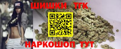 молекула духа Будённовск