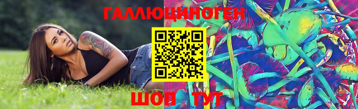 Псилоцибиновые грибы прущие грибы  Псилоцибиновые грибы прущие грибы  Вход с VPN  Череповец 