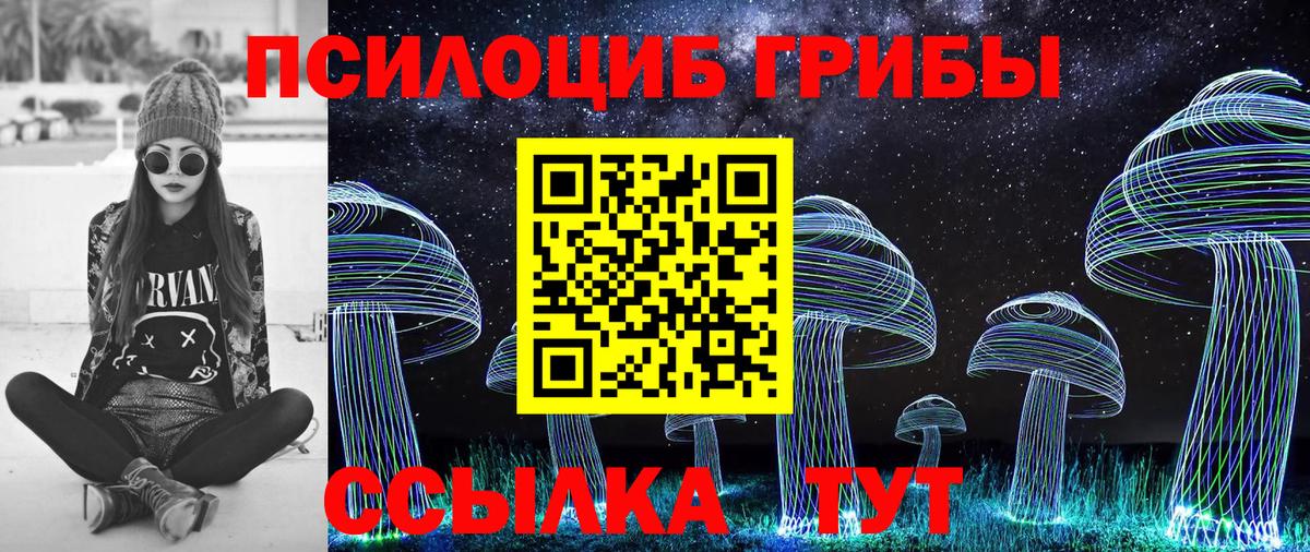 Галлюциногенные грибы Psilocybine cubensis Череповец